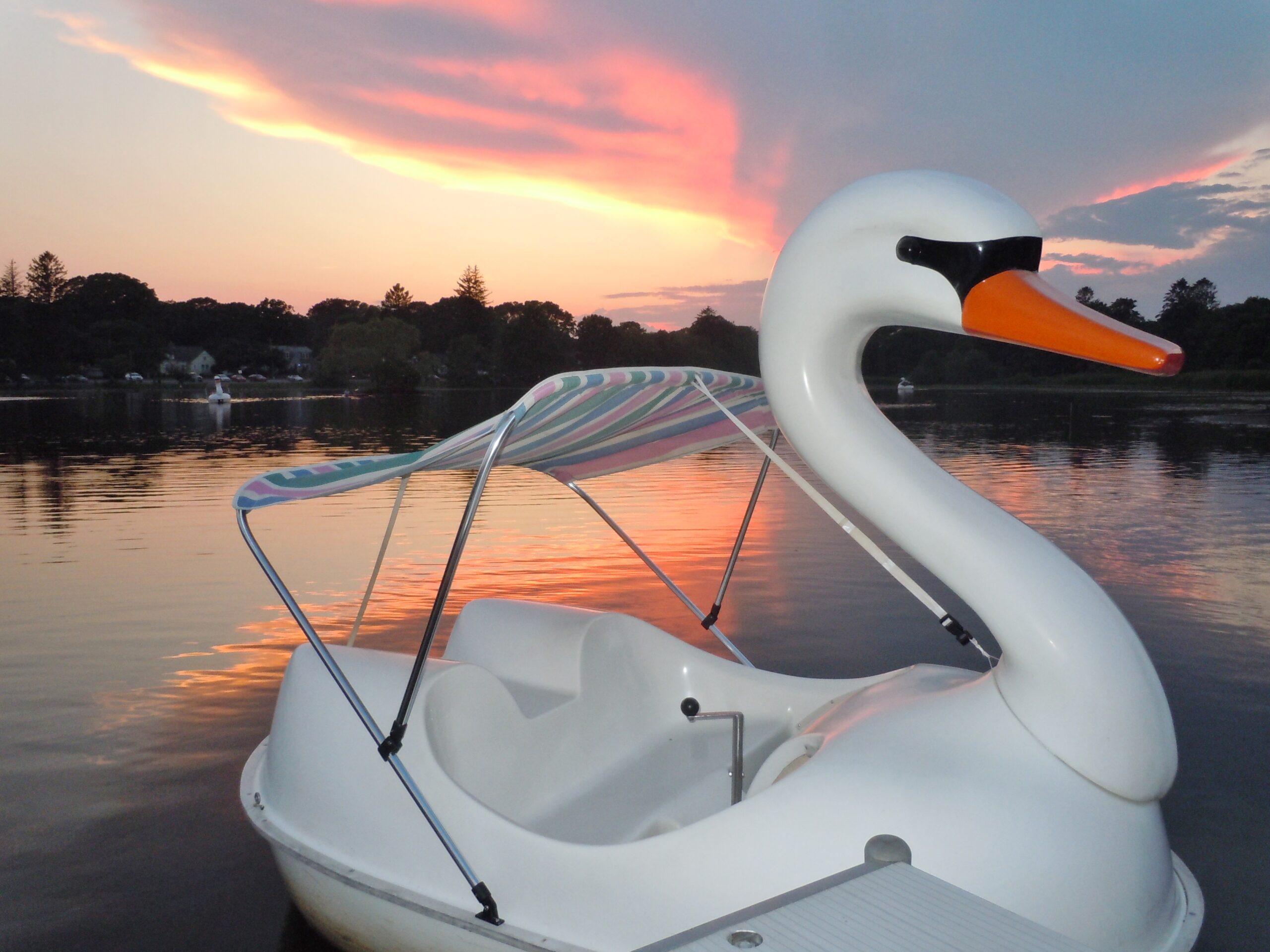 Swan-shaped pedal boat at sunset on calm water.