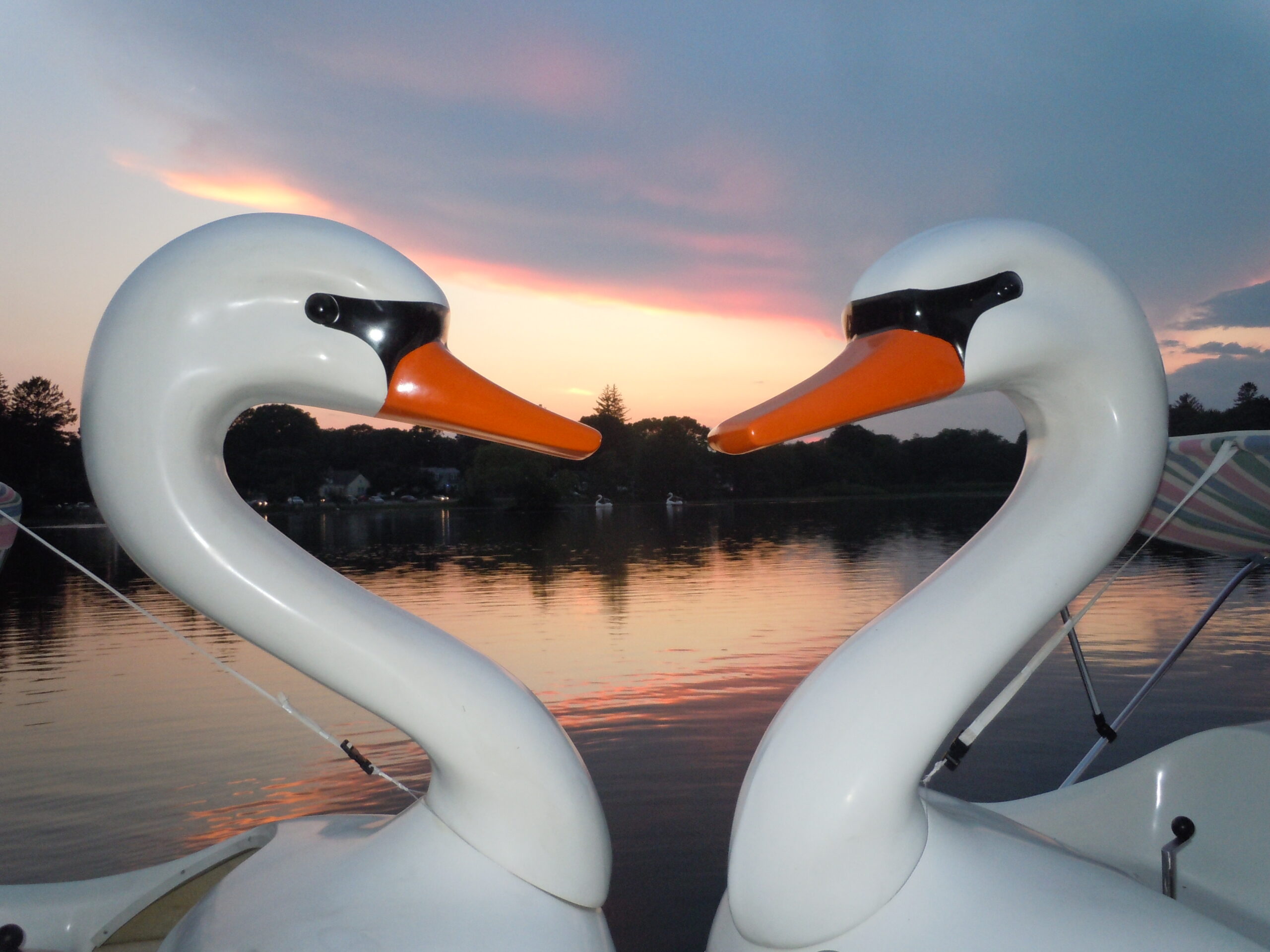 Two swan-shaped boats facing each other at sunset on a calm lake.