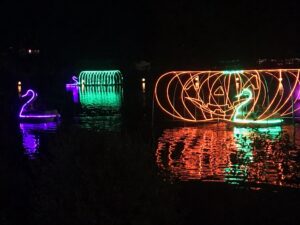 Colorful illuminated swan decorations reflecting on water at night.