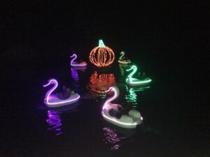 Illuminated swan-shaped lights floating on water at night.