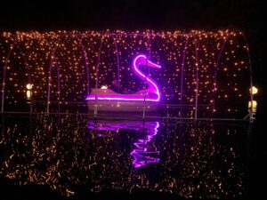 A glowing pink flamingo float with fairy lights reflecting on water.
