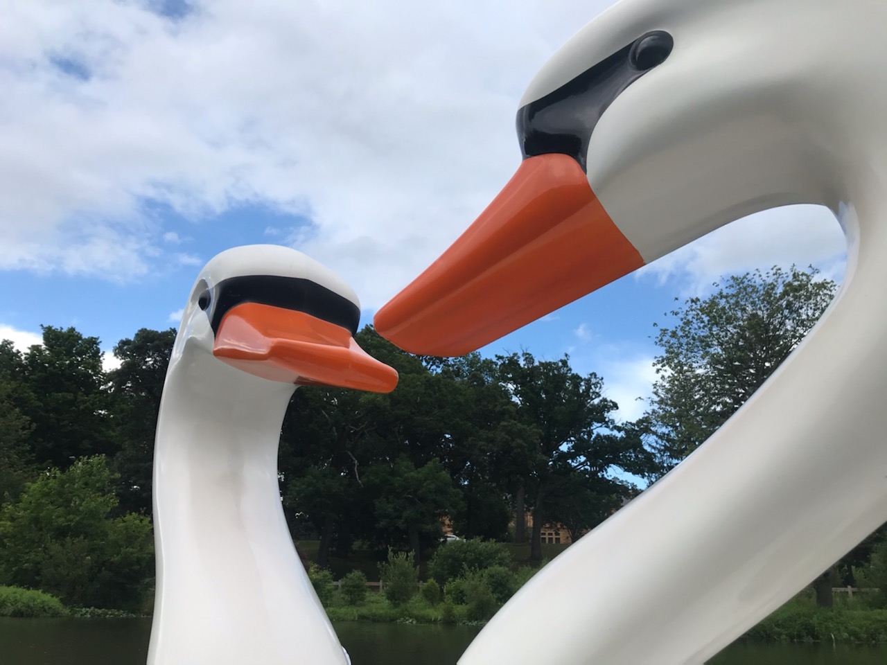 Two white geese with orange beaks close together against a cloudy sky.